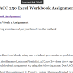 ACC 250 Excel Workbook Assignment