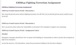 EMM641 Fighting Terrorism Assignment