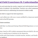SPD 320 Clinical Field Experience B: Understanding Assessments