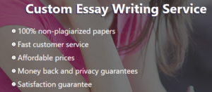 HLT 314V Assignment Health Care Delivery Systems Essay